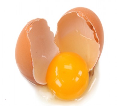 Trứng gà chứa hàm lượng protein cao