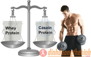 whey-protein-va-casein-protein