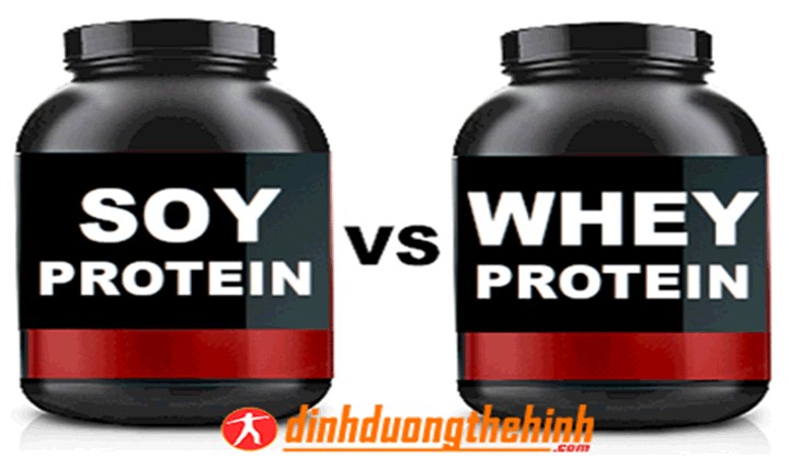 Whey protein và soy protein