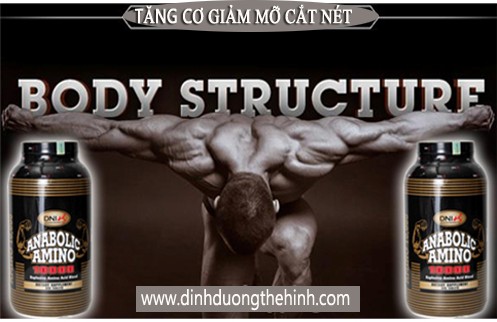 Anabolic Amino 10000 DNI, Tăng cơ giảm mỡ,