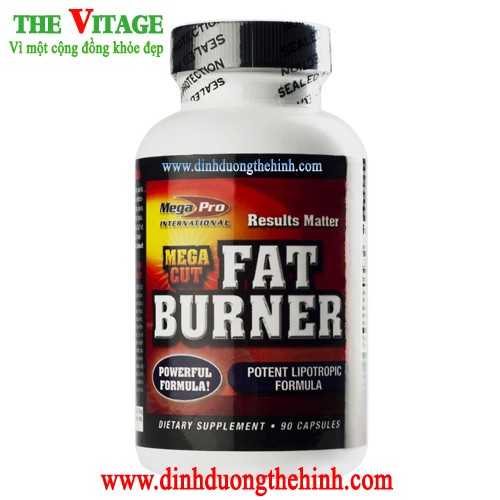 Mega Cut Fat Buner Mega Pro
