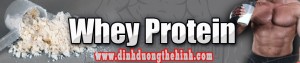 Whey Protein là gì ? 100% Whey Protein là gì ? Whey Protein là gì ? 100% Whey Protein là gì ?