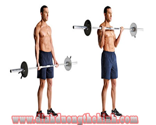 Các bài tập cơ tay trước giúp tăng cơ bắp tốt nhất