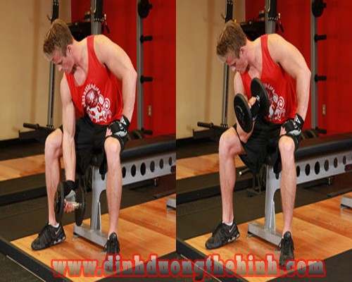 Các bài tập cơ tay trước giúp tăng cơ bắp tốt nhất