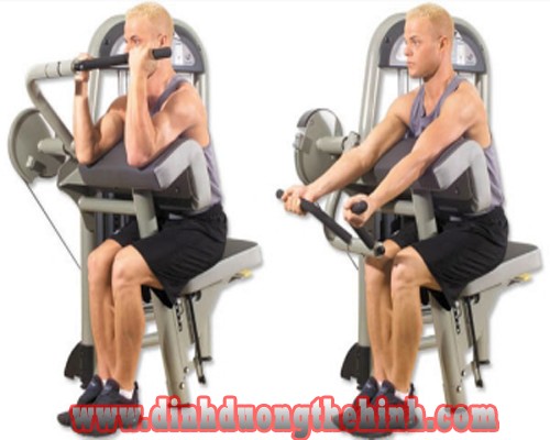 Các bài tập cơ tay trước giúp tăng cơ bắp tốt nhất