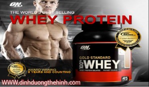 whey potein gold standard