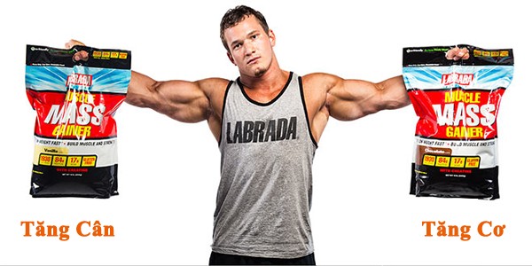Muscle Mass Gainer 12lbs tăng cân tăng cơ hiệu quả