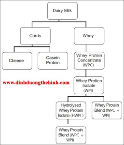 san xuat whey proeint