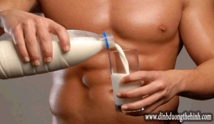 Lý do tại sao người tập thể hình nên uống sữa