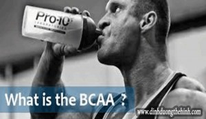 BCAA là gì ? Tác dụng của BCAA với người tập thể hình