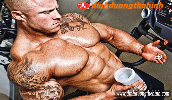 Nên dùng Whey Protein hay Amino