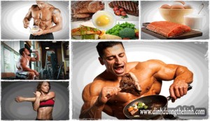 Bao nhiêu protein mỗi ngày là đủ cho người tập thể hình