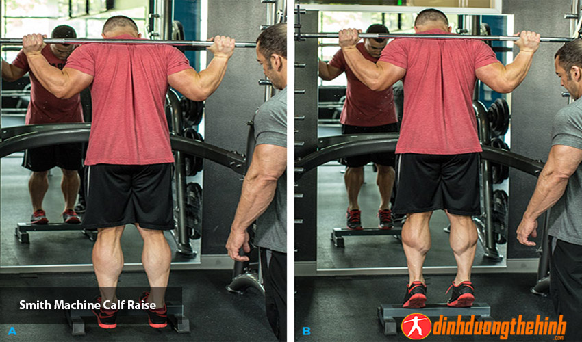 smith machine calf raise