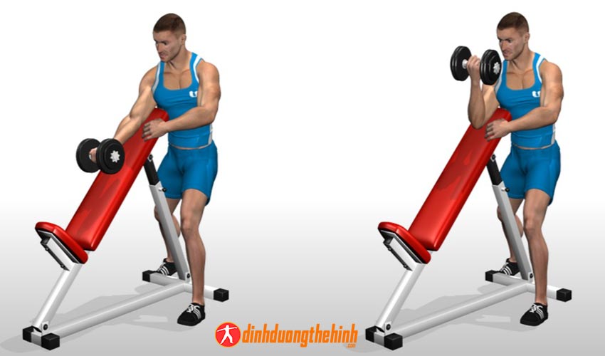 Установка curl. Incline Bench Dumbbell Curl. Многопоточный Curl. Slight Incline Seated Dumbbell Curls. Single-Arm Dumbbell Curl упражнение.